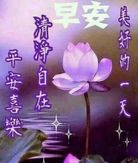 不要让自己心乱的短语,别让自己乱了方寸