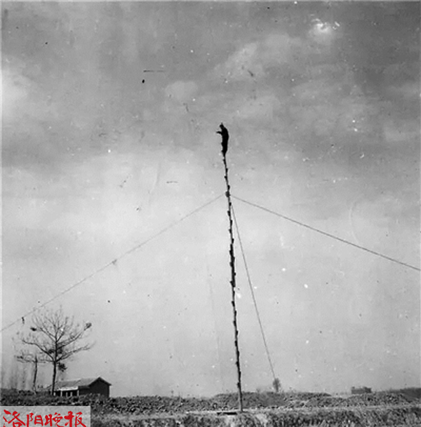探秘二里头:寻找华夏之“夏”,他们走了100年