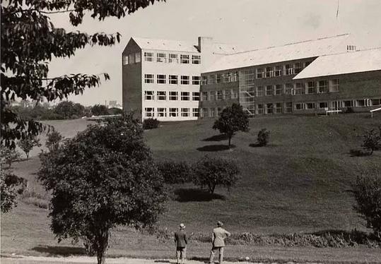 丹麦奥胡斯大学在哪,丹麦大学奥胡斯