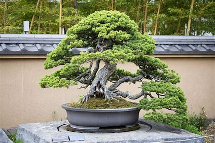 散文|汗漫:两个诗人