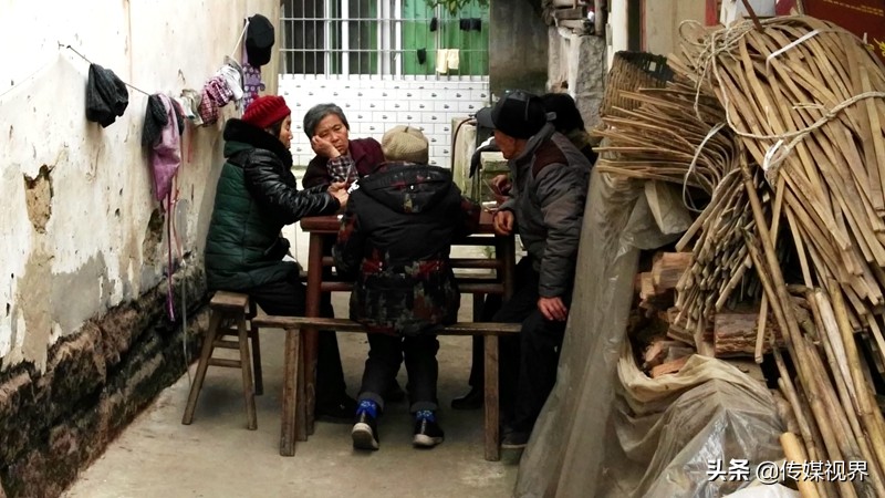 自驾游江津石蟆中坝岛,江津石蟆中坝岛甘蔗林