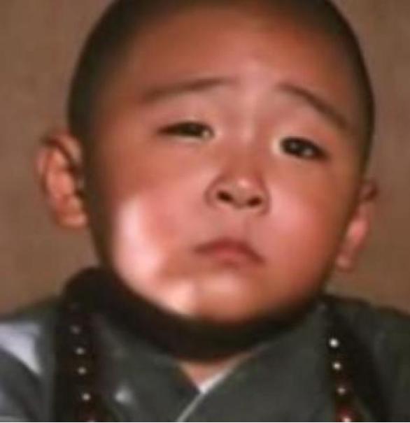 知名童星沦为阶下囚,童星沦落为阶下囚