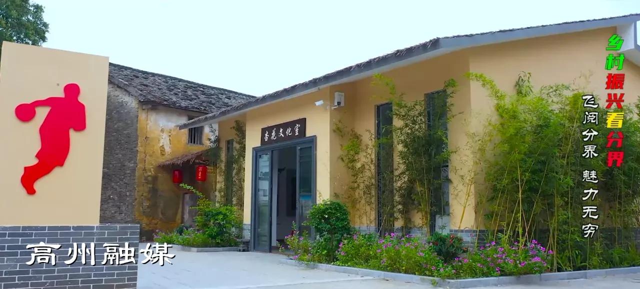 飞阅系列,飞阅新闻最新消息