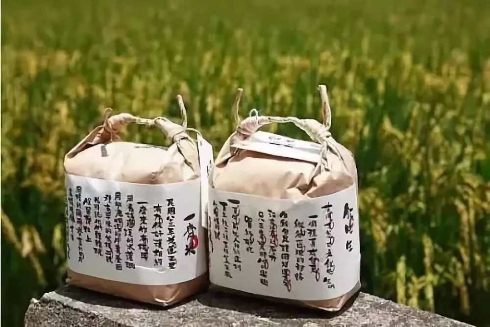 创意农业和休闲农业,传统农业遇到文化创意