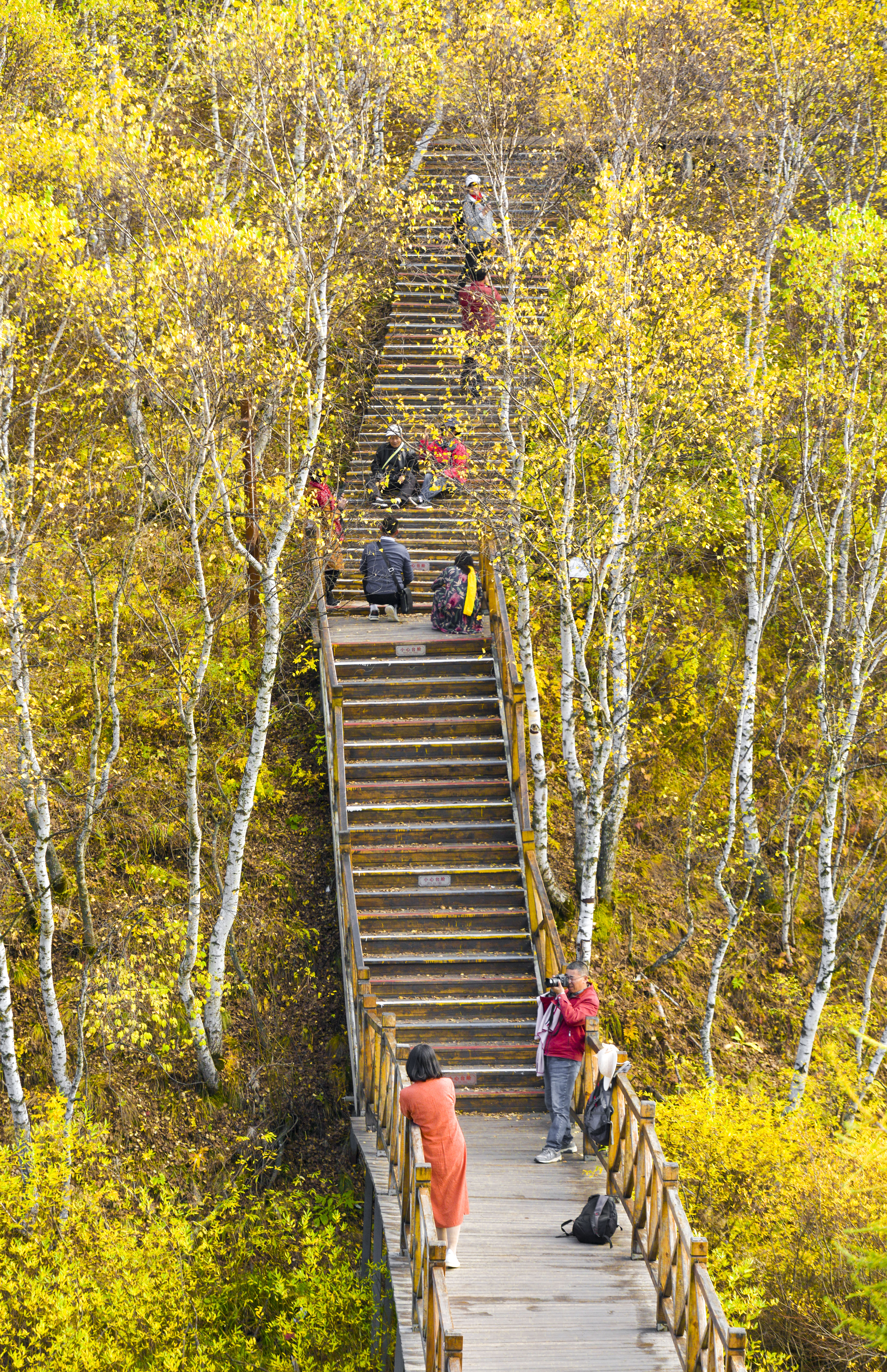 丰宁神仙谷七彩森林景区地图,丰宁坝上七彩森林游玩攻略