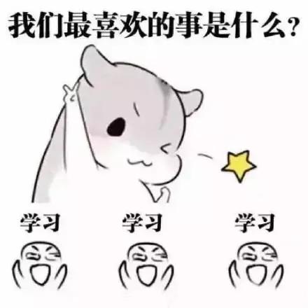 北影新生-孙绮复读重来，是坚持对动漫的爱好还是听家长的话？