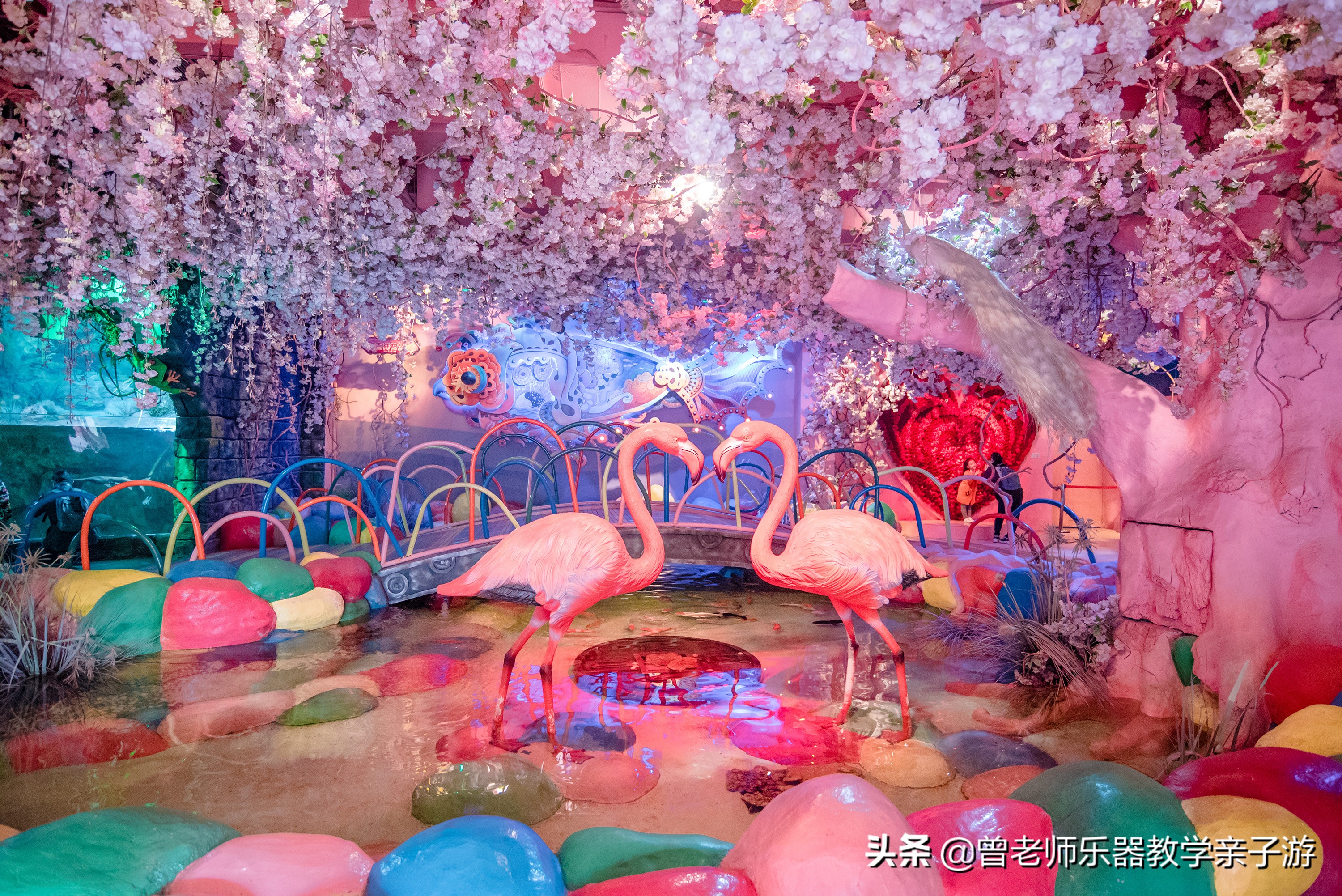 西安太奥海洋馆,西安极地海洋世界海豚表演