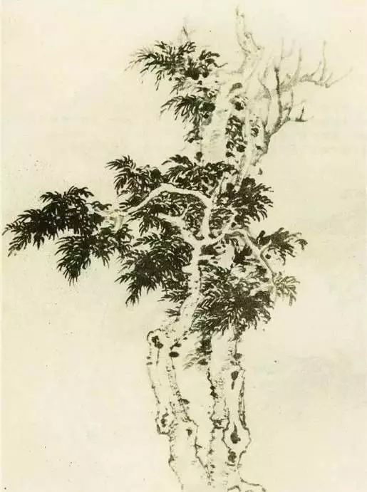 怎样画树画得好看,怎么画树最简单而且还最好看