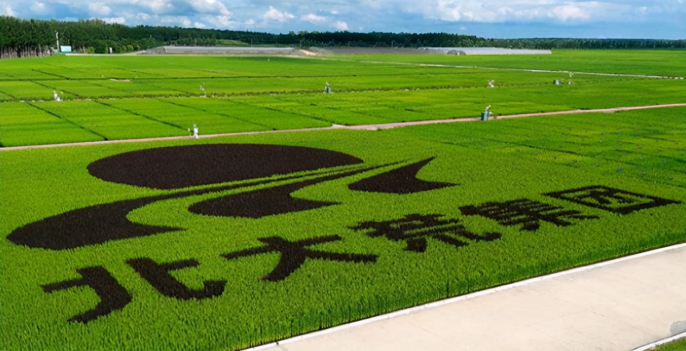 北大荒的兵团现在怎样了,北大荒现在啥样