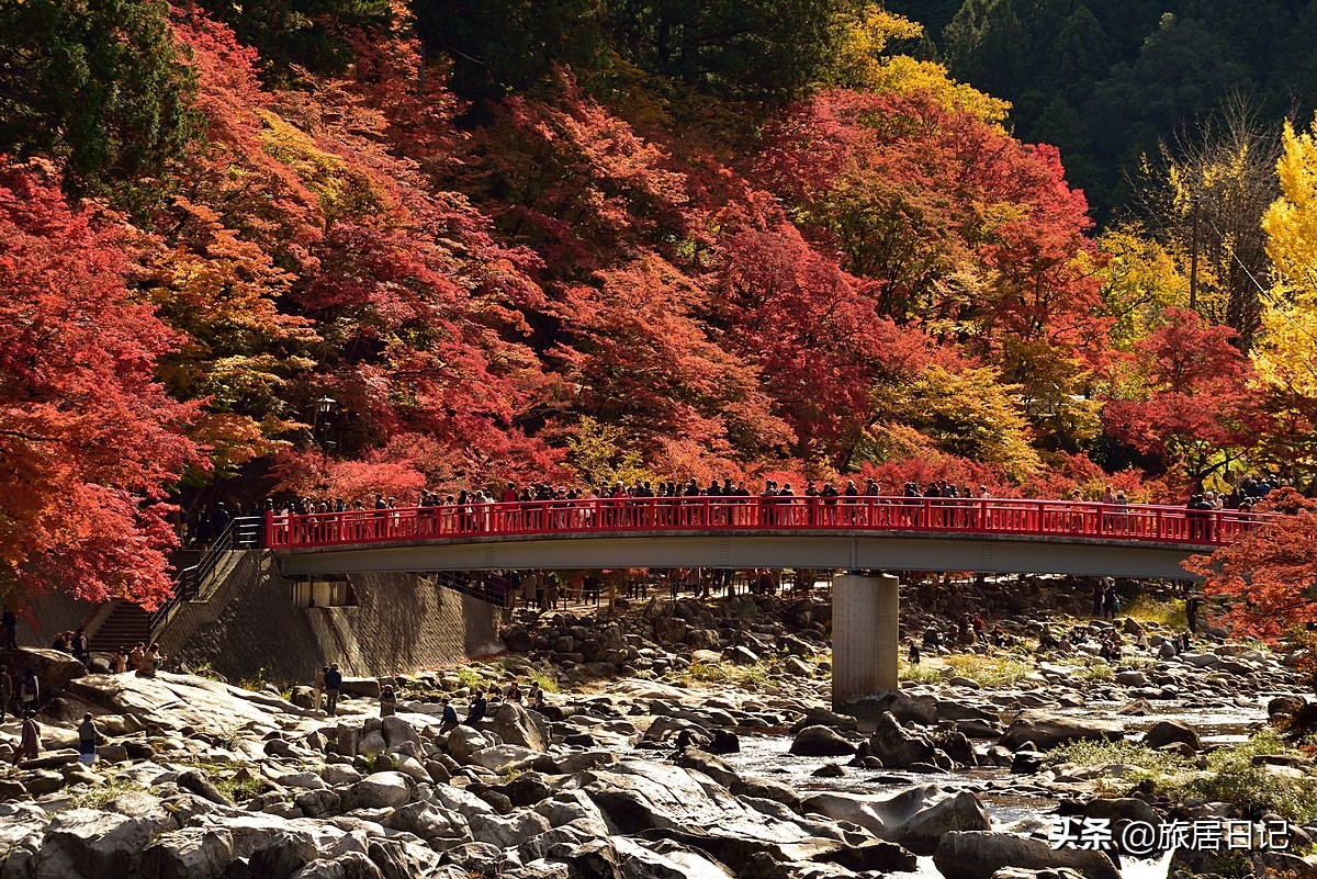 日本十大美景公园,日本东京最美的10座公园