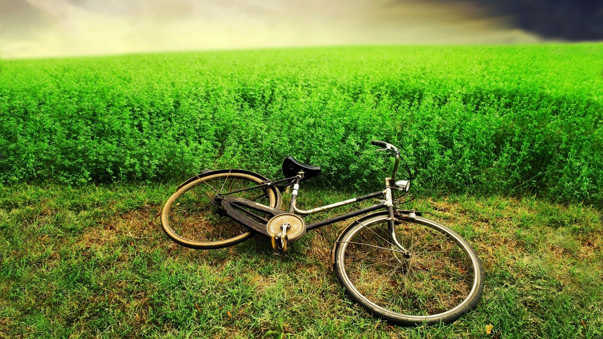 最美的护眼桌面壁纸,超清晰2340x1080曲面屏护眼壁纸