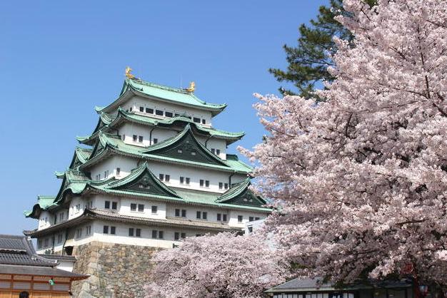 东京旅行性价比最高的酒店,东京旅游性价比高的酒店