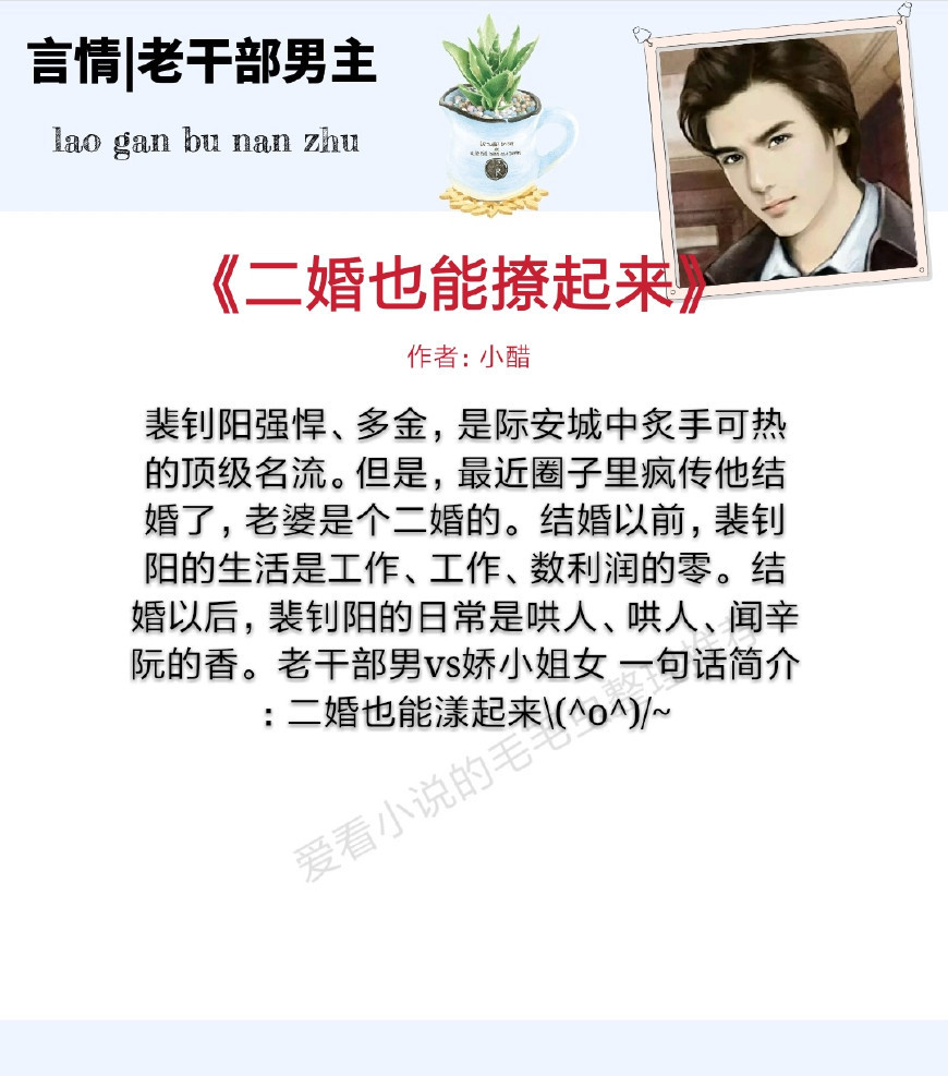 男主是老干部甜宠文,关于男主角是老干部风格的小说