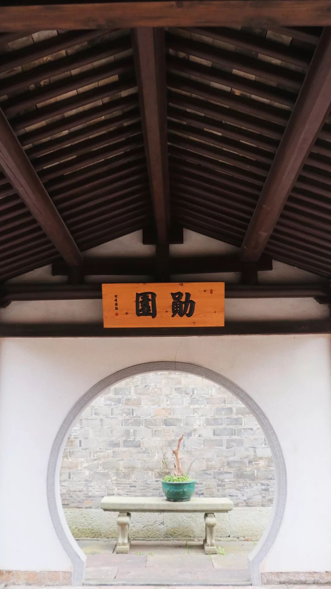 开元集团发展历史,开元集团的发展历程