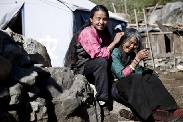 人类进化虱子,虱子与人类共存千万年