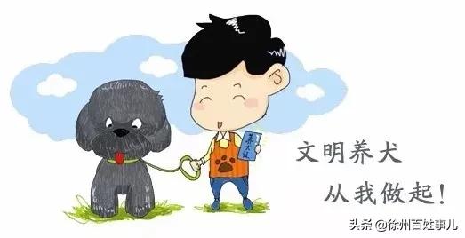 徐州的禁养犬规则,徐州养犬违规吗