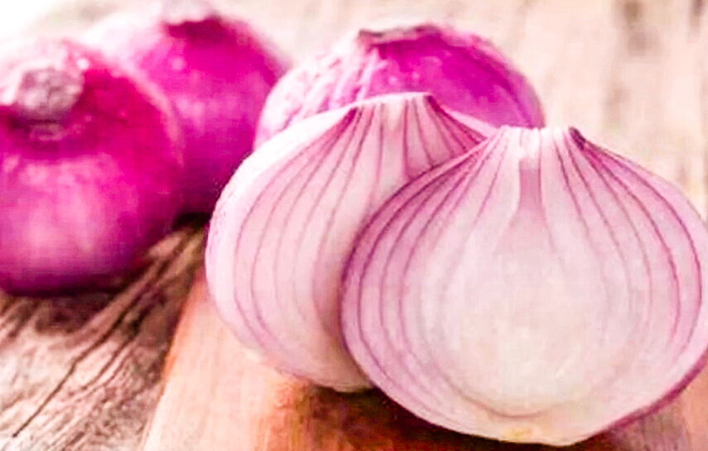 抗击肺炎宅在家里,抗击疫情别乱跑