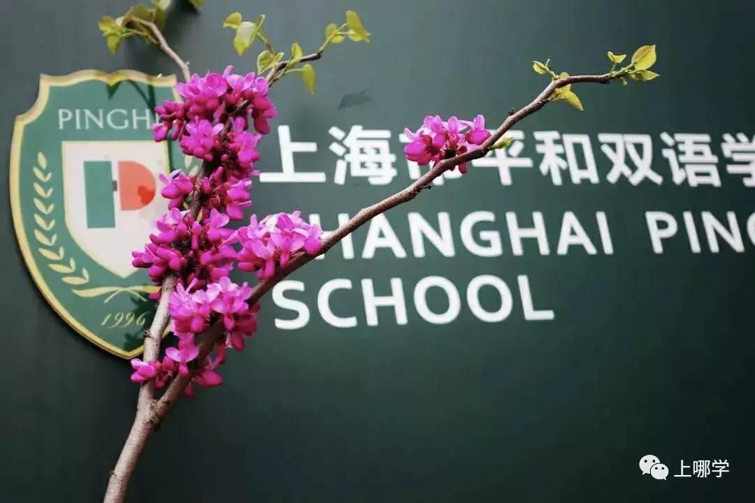 排名好的小学双语国际学校,双语私立小学排行榜最新