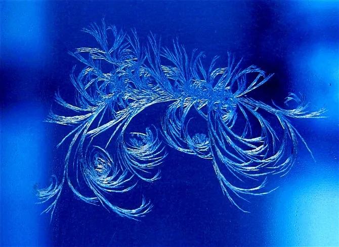 《散文美刊》「霜花中的梦想」|王德明（诵读：丁丁）