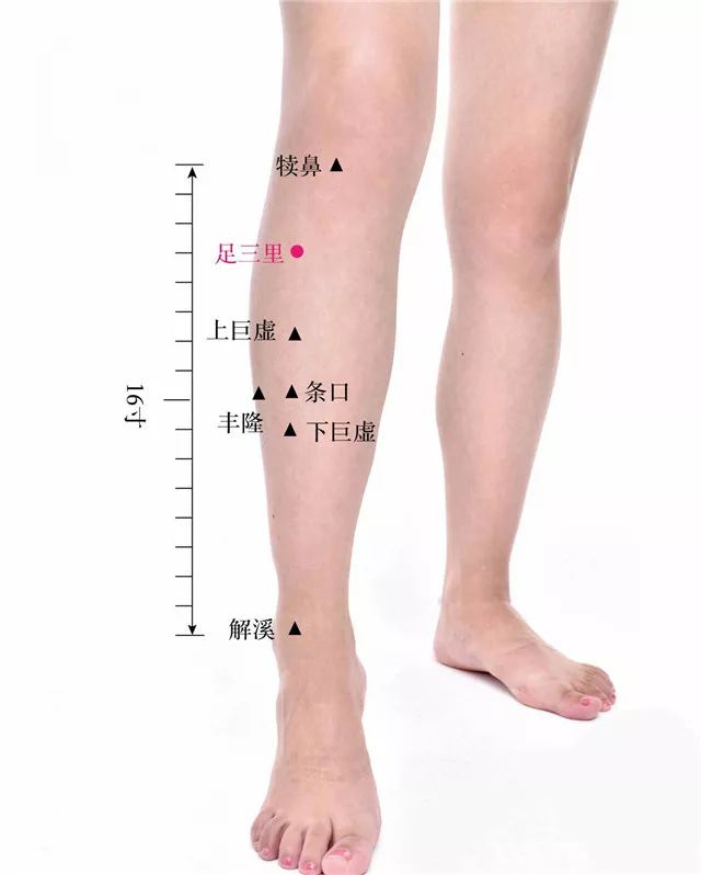 艾和不艾，决定了女人两种不同的人生！如果爱请深“艾”