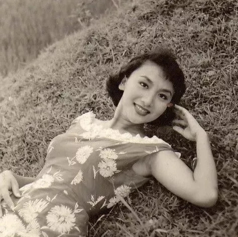 绝代佳人夏梦小说,绝代佳人夏梦简介