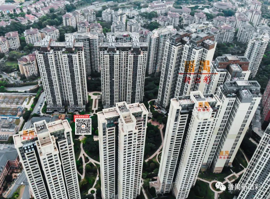 凭什么成为火爆全网的网红城市,番禺万博板块有什么盘