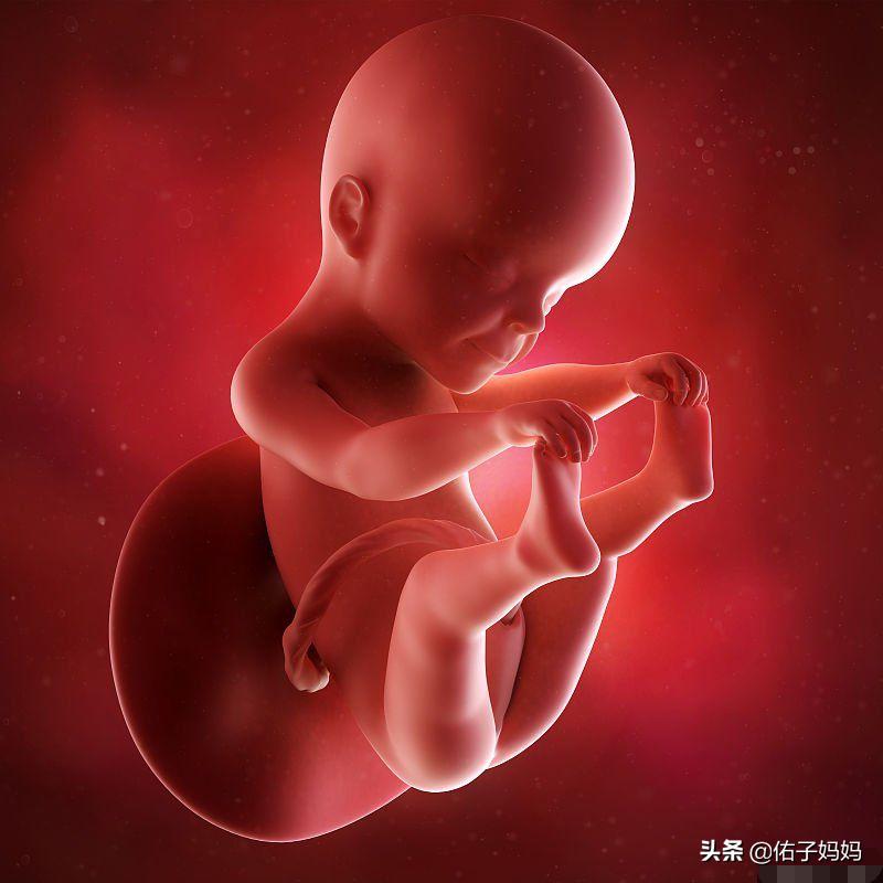 胎儿在肚子里撅嘴正常吗,胎儿在肚子里会不会吧唧嘴