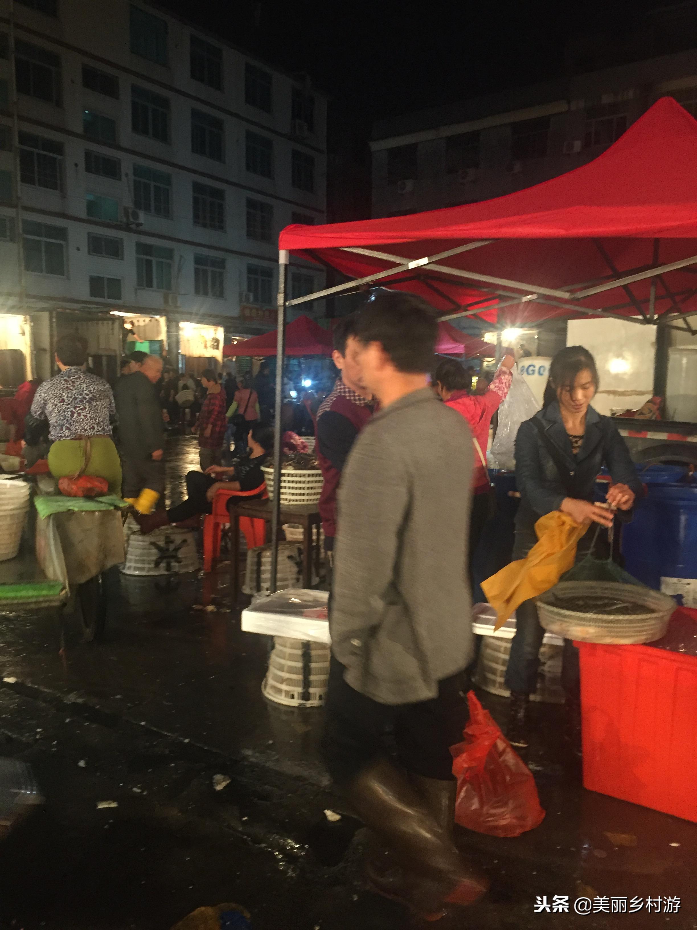 莆田傍晚海鲜批发码头,莆田海鲜批发市场营业时间