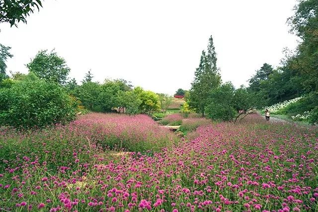 大连重阳节旅游攻略,大连九月秋游攻略