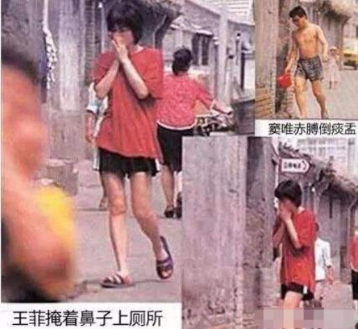 王菲和窦唯目前的关系,王菲最疯狂的一次恋爱