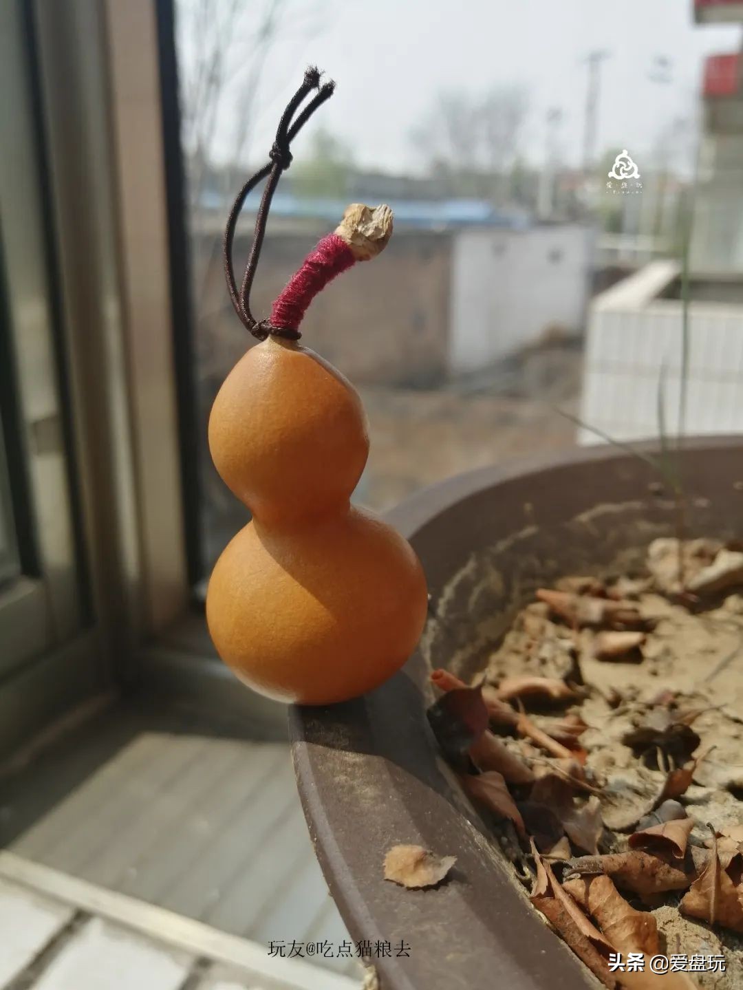 什么叫穷玩？手串超过300块，算我输！