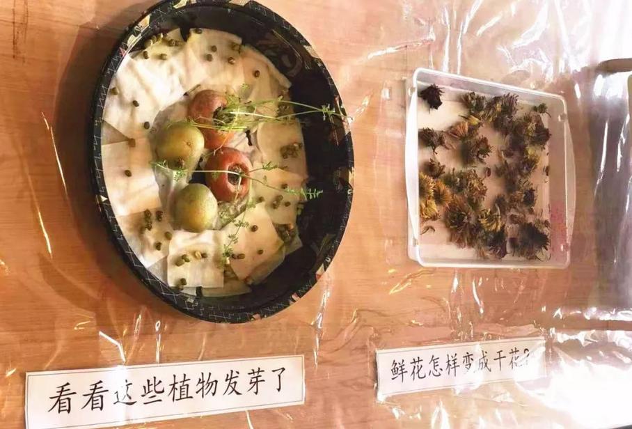 伊顿幼儿园国际教育,伊顿国际幼儿园在国内排名