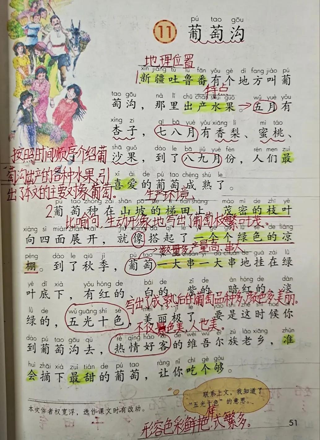 二年级上册第11课葡萄沟课文,二年级语文第11课葡萄沟课文预习