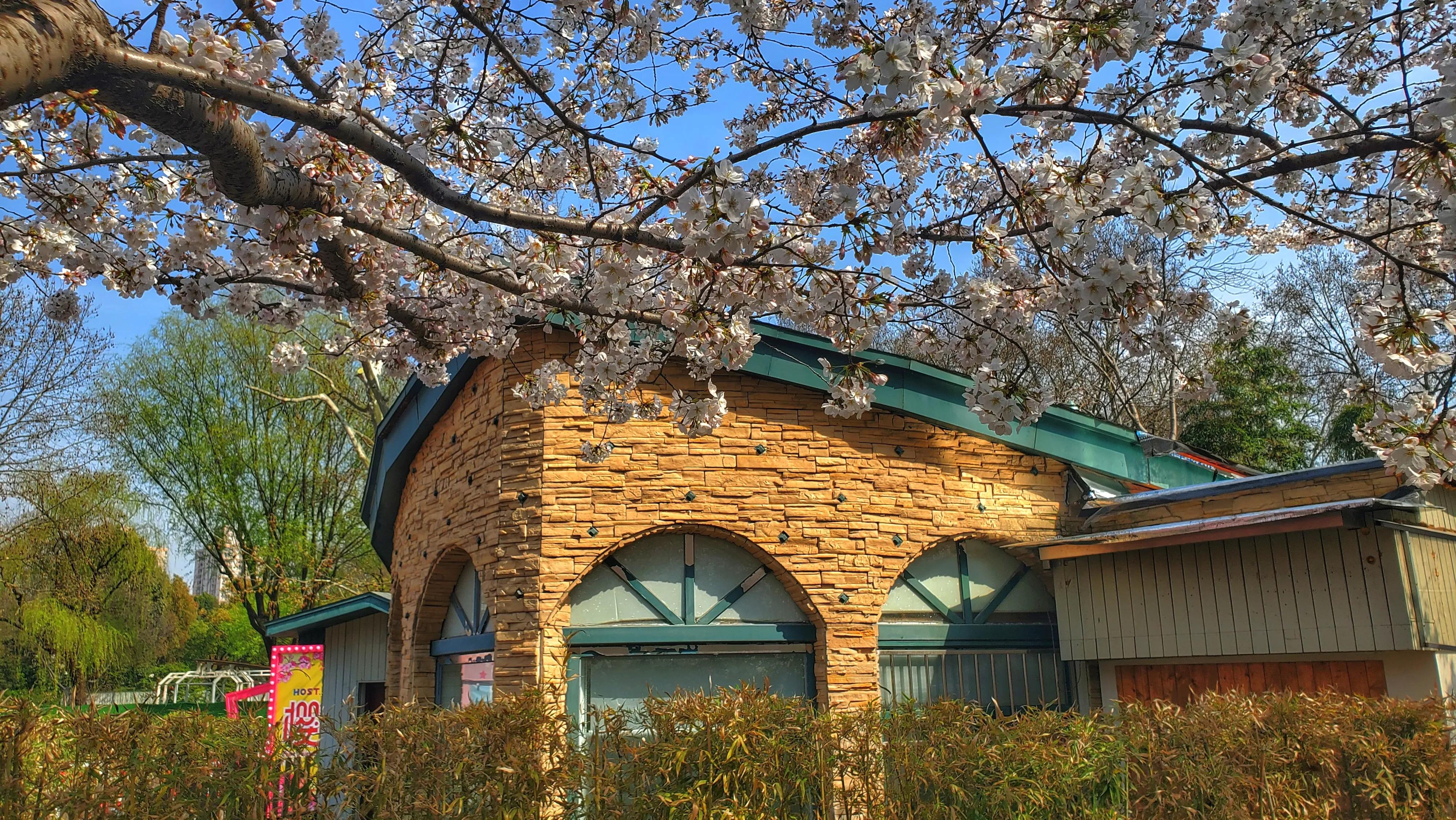 上海最高的地铁站虹口足球场站,上海德比虹口足球场地铁站