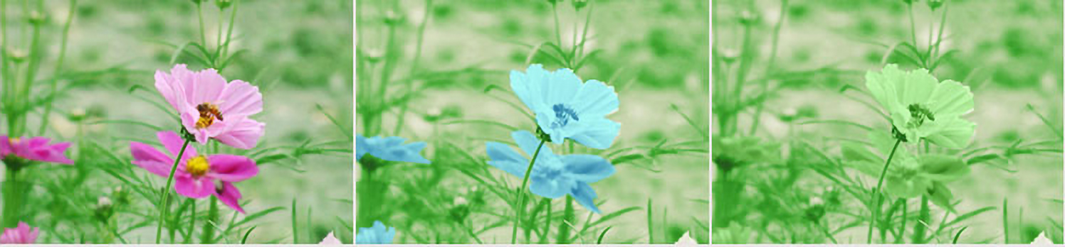 这些配色让设计秒变高级,学会高级配色技巧作品不再平庸