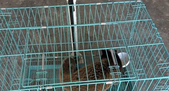 微信新规定三种行为将被封号,微信永久封号复审成功的几率大吗