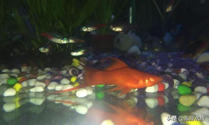 从外表到内在再到灵魂,从外表到内在