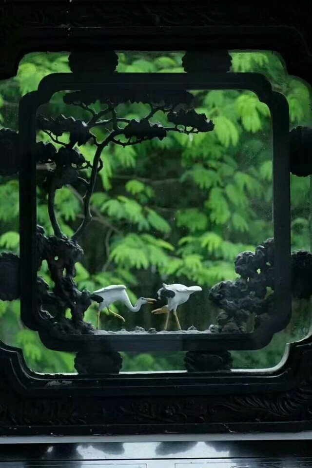 巜以苏轼之名，品味宋代极致美学》——王伟书法之十五