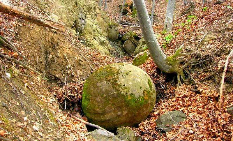 第一个对中国免签的欧洲国家,第一个对中国免签的国家在欧洲