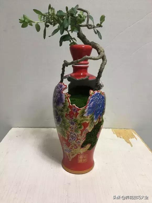 花盆5元一个,花盆不用花钱买