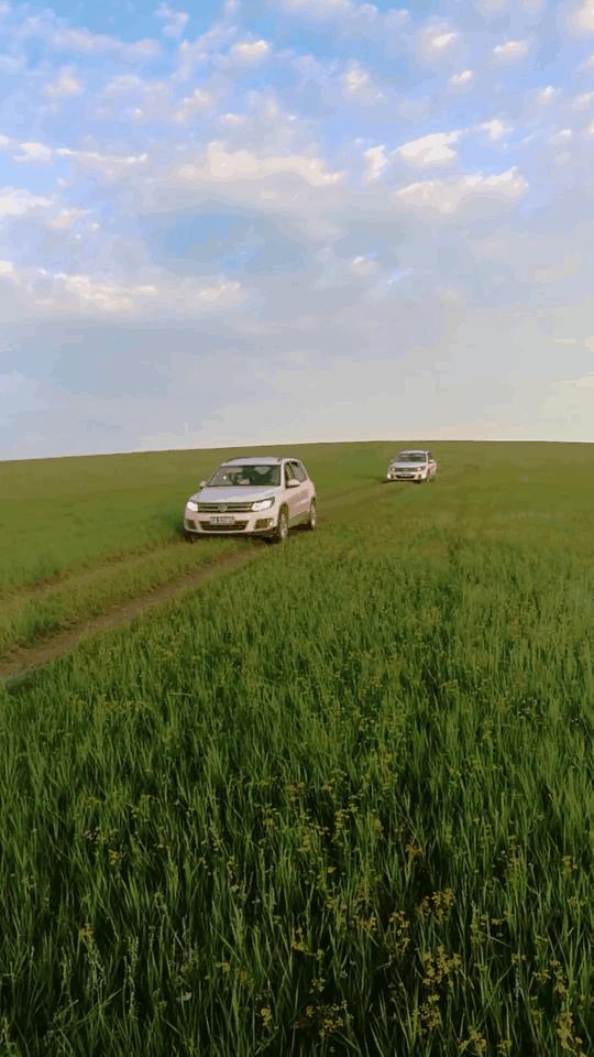 五一假期闺蜜去大兴安岭穷游,闺蜜自驾大草原