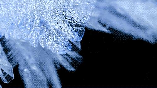 BBC最棒8部纪录片，强烈推荐孩子暑假看