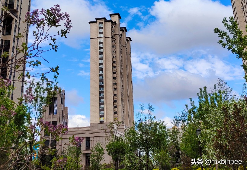 冉冉升起的明星们,哈尔滨金源蓝城效果图