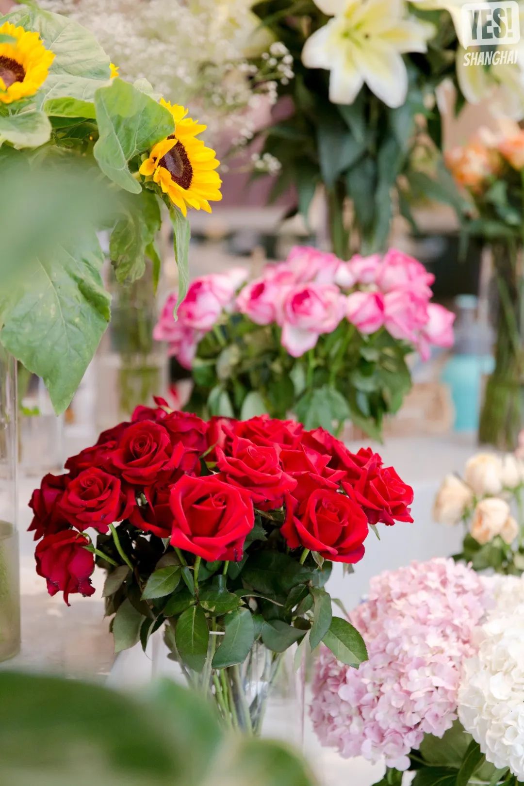 上海开在花园里的餐厅,上海开在花园里的甜品屋