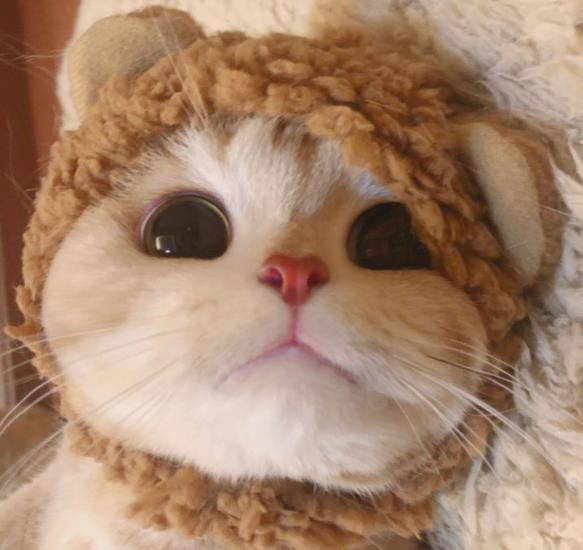 怎样知道自己有神,你知道眼睛的存在吗