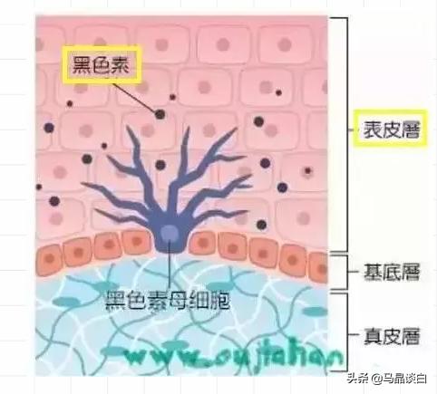 白癜风光疗过程怎么观测疗效,光疗治白癜风有什么作用