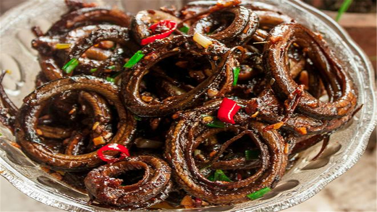 黄鳝的养殖方法和技术视频教程,黄鳝的养殖技术饲料配方