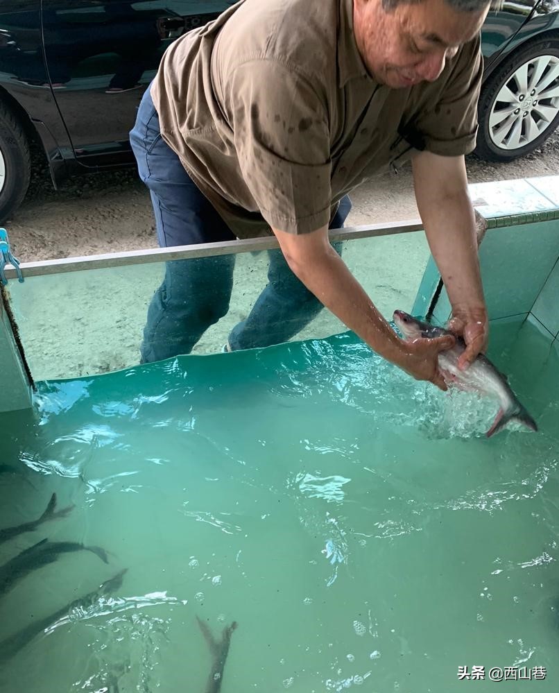 马来西亚彭亨旅游攻略,马来西亚必游览之南洋小镇马六甲