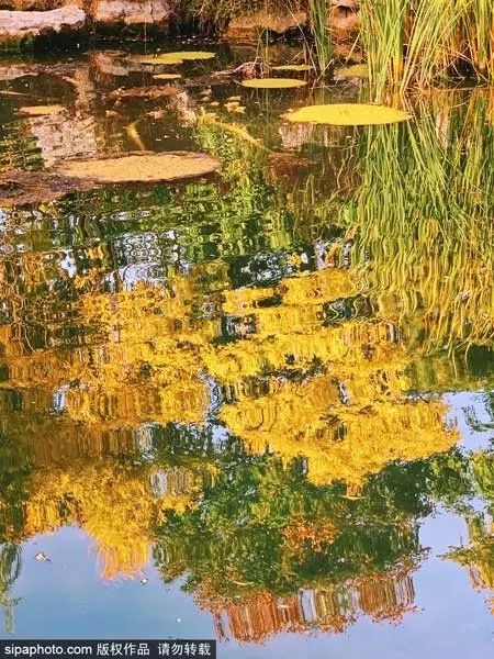 再不去玩就晚了！北京秋游倒计时！爬​山、赏叶、观鸟…随便您怎么嗨！