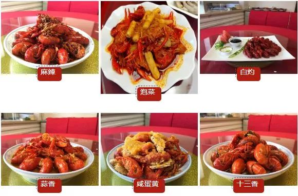 上海大学真正实力如何,上海大学被低估的专业排名